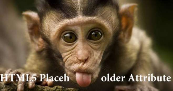 HTML5 Placeholder Attribute HTML5 Placeholder Attribute