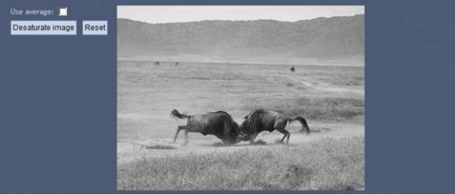 pixastic - JavaScript Image Processing Library pixastic - JavaScript Image Processing Library