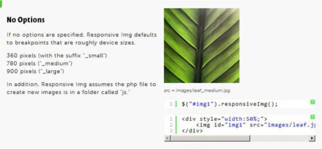 Responsive img - jQuery plugin Responsive img - jQuery plugin